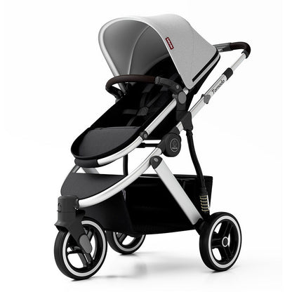 Babyruler Tornado T2 Stroller - Silver